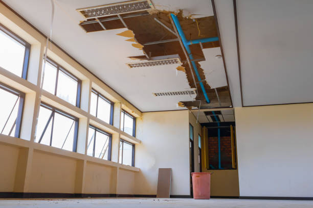 Trusted IN Water damage restoration Experts