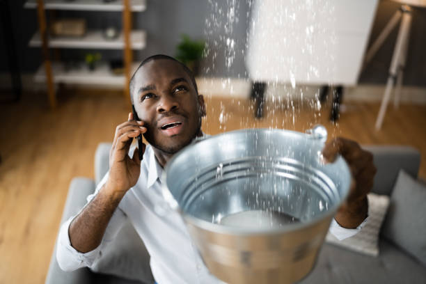 Best Flooded house restoration  in Knox, IN