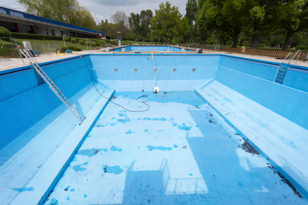 Best Water damage contractors near me  in Knox, IN