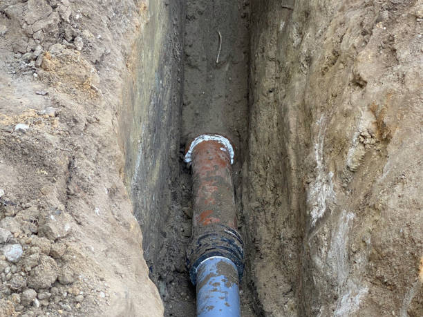 Best Flood restoration services  in Knox, IN