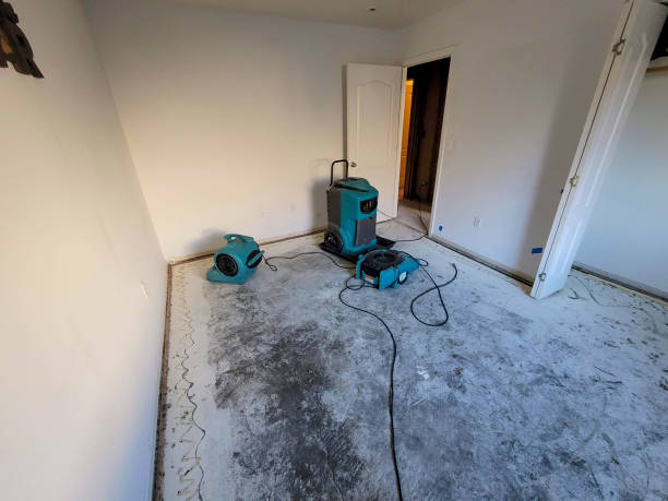 Best Water damage restoration insurance claims  in Knox, IN