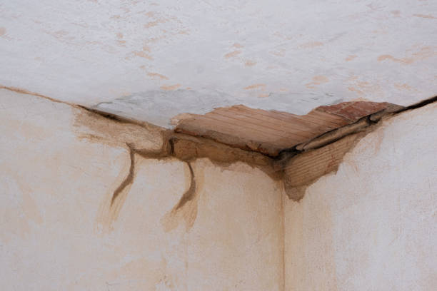 Best Fire Damage Restoration  in Knox, IN