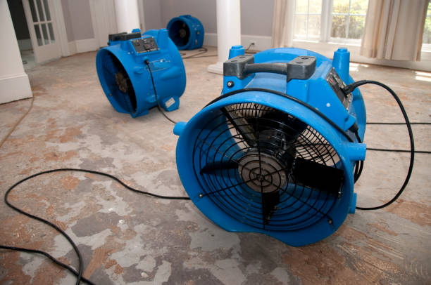Best Water damage restoration near me  in Knox, IN