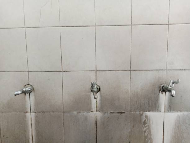 Best Carpet water damage restoration  in Knox, IN
