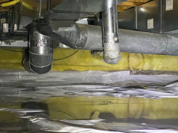 Best Water damage cleanup near me  in Knox, IN