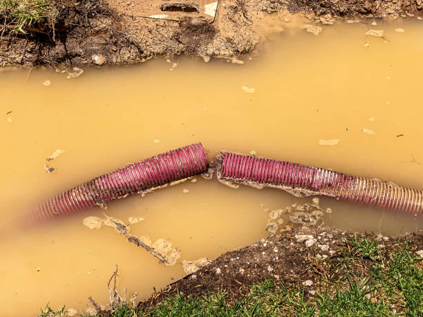 Best Residential water damage restoration  in Knox, IN
